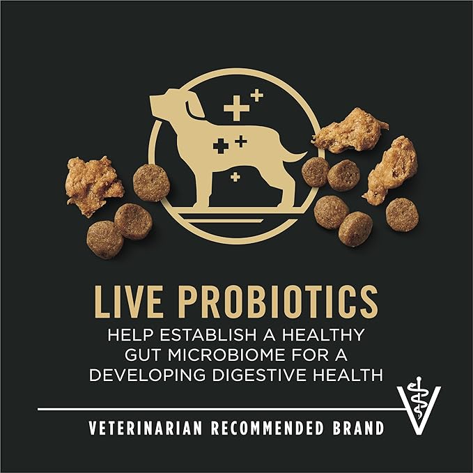 Purina Pro Plan High Protein Puppy Food Shredded Blend Chicken & Rice Formula - 34 lb. Bag