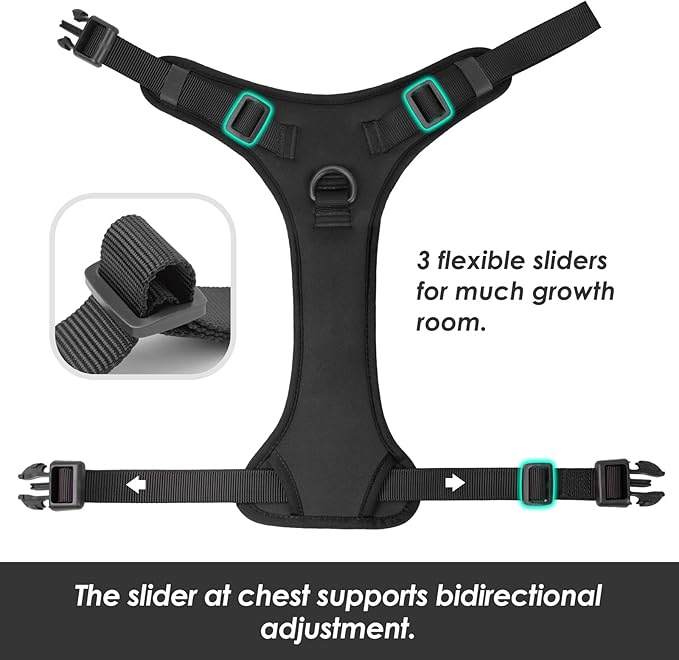 No Pull Dog Harness, Puppy Vest with Front Clip for Small Medium Large Sized Dog (Black,L)