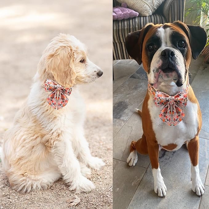 Unique style paws Dog Collar with Tie Adjustable Pink Bowtie Puppy Collars for Small Medium Large Dogs and Cats-XL