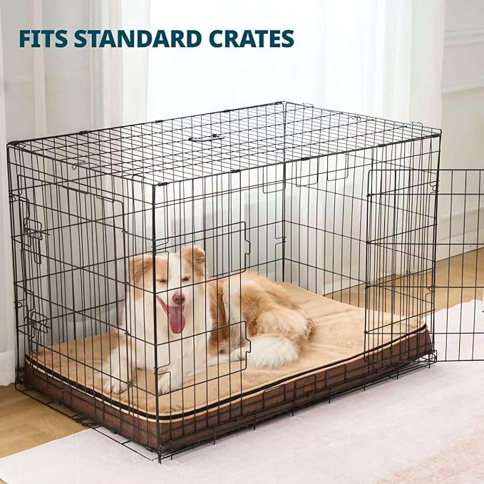 Memory Foam XL Dog Bed - 4” Thick Orthopedic Beds for Extra Large Dogs - Waterproof Dog Bed with Removable Washable Cover & Wrap-Around Zipper - Ultimate Comfort and Easy Maintenance