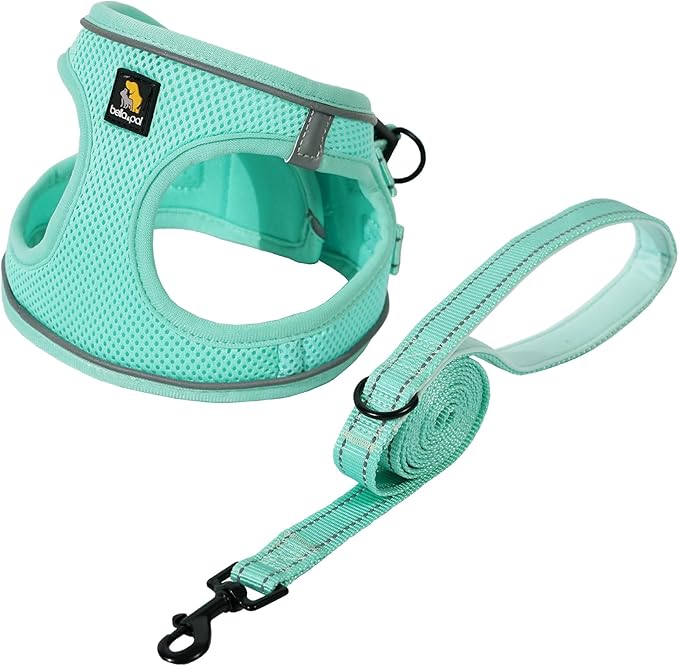 BELLA & PAL Step in Vest Harness for Small and Medium Dogs, No Pull Small Dog Harness with Leash Set, Comfortable Air Mesh Dog Vest Harness with Reflective Strip (Light Green, XXS)