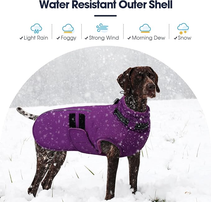 IECOii Small Dog Coat, Waterproof Dog Snow Jacket with Built in Collar, Thermal Fleece Lined for Cold Weather, Safety Reflective Dogs Winter Coat for Nighttime Walks, Easy On/Off, Purple - M