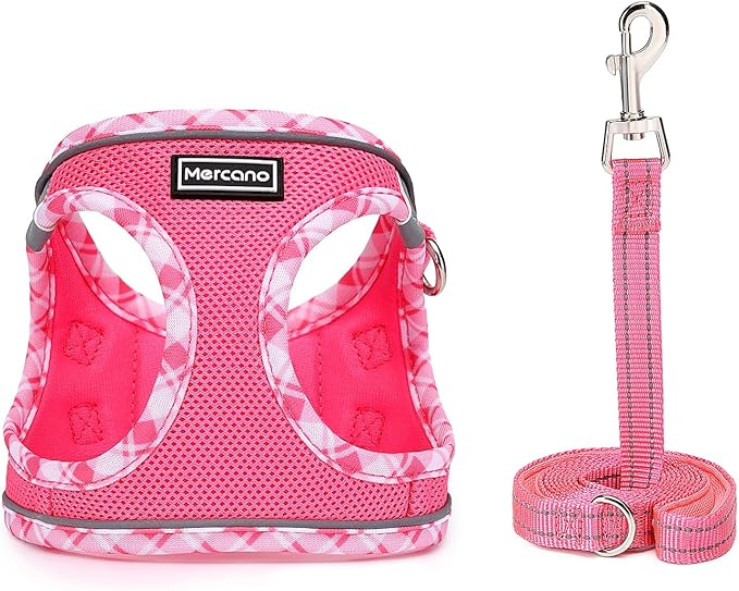 Mercano Soft Mesh Dog Harness and Leash Set, No-Chock Step-in Reflective Breathable Lightweight Easy Walk Vest Harnesses with Safety Buckle for Small Dogs, Cats (S, Fuchsia)