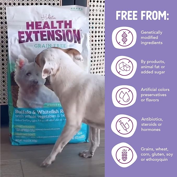 Health Extension Grain Free Buffalo & Whitefish Little Bites (1 lb / 0.45 kg) - Small Kibble Formula with Omega 3 & Whole Foods for Teacups, Toys & Miniature Dogs
