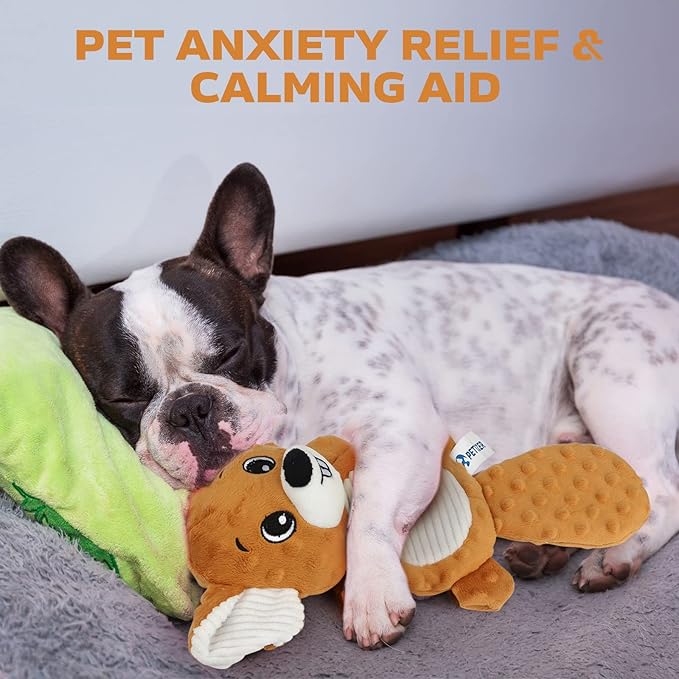 petizer Plush Squeaky Dog Toys, Stuffed and Crinkle Dog Chew Toys, Interactive Toys for Puppies, Small, Medium and Large Dogs, Cute Squirrel and Raccoon, 2 Pack