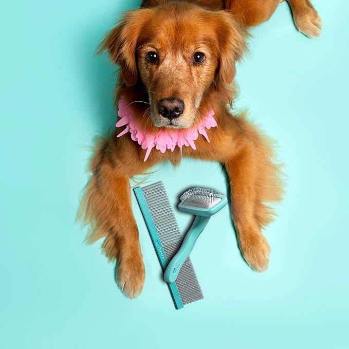 Dog Grooming Slicker Wire Brush: Designed for Long Haired Dog Breeds - Dematting and Deshedding, Comfortable and Easy to Use, Ergonomic Handle - Small (Teal, Small)