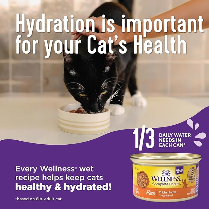 Wellness Complete Health Cubed Adult Wet Cat Food, Natural, Protein-Rich, Grain Free, 5.5 Ounce, 24 Pack, (Turkey Entrée)
