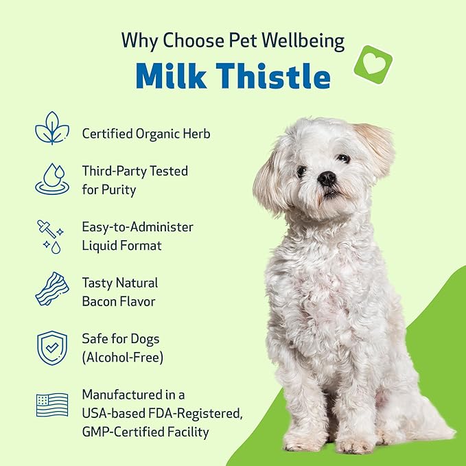 Pet Wellbeing Milk Thistle for Dogs - Organic Milk Thistle, Supports Healthy Liver Function & Detoxification - Vet-Formulated Herbal Supplement - 4 oz (118 ml)