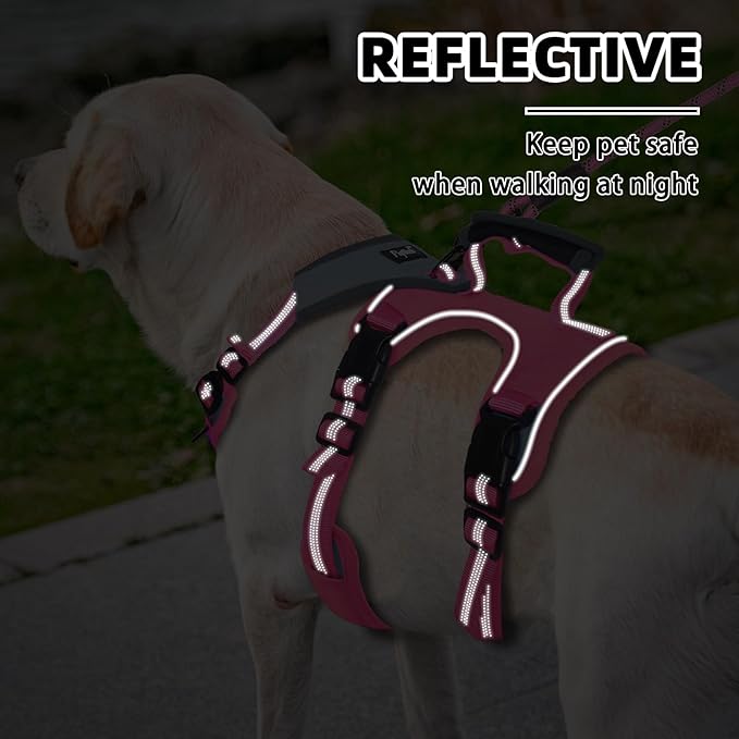 PUPTECK Escape Proof Dog Harness and Leash Set Upgraded No Pull Reflective Dog Vest with Lift Handle, Easy Control Pet Harness for Medium Large Dogs Training Walking Running, Fuchsia, L