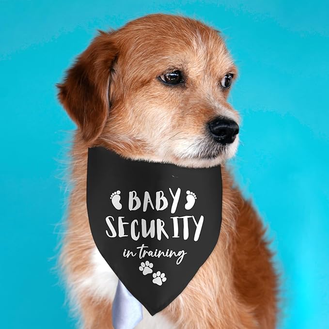 Baby Security in Training Black Dog Bandana Pet Scarf Pregnancy Announcement for Dogs Accessories Lovers Reveal Ideas