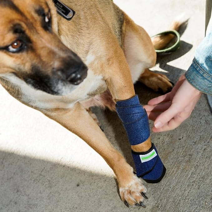 Healers Petcare Medical Dog Bootie for Wound Care & Paw Protection, Single Boot (Blue) - Non-Slip Sole, Breathable Fabric, Vet Approved (X-Small)