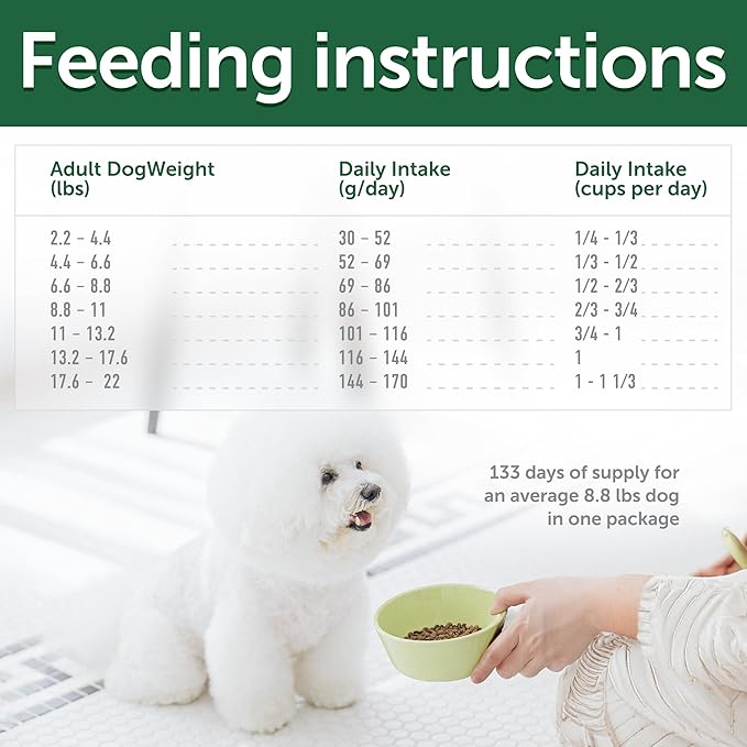 Nature's Protection Hypoallergenic Small Breed Dry Dog Food - High Protein, Grain Free Tear Stain Formula - Dog Kibble for Sensitive Stomachs for Adult Light Fur Dogs (Superior Care - Insect, 22 lb)