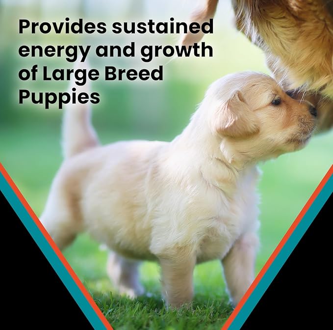 VICTOR Classic - Hi-Pro Plus Large Breed Puppy, 15-lb