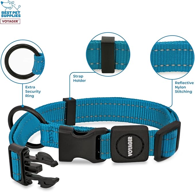 Best Pet Supplies Reflective Dog Collar with Adjustable Length, Heavy-Duty Buckle, and Strong Leash D-Ring, Training, Walking, Jogging Accessory for Small, Medium, and Large Breeds - Turquoise, L