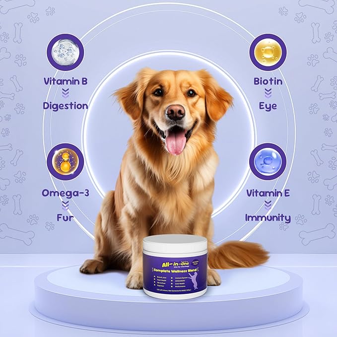 Premium Probiotics for Dogs with Digestive Enzymes & Fiber | Duck Flavor Soft Chews for Itchy Skin, Ear Health, Gut & Immune Support (Pumpkin)