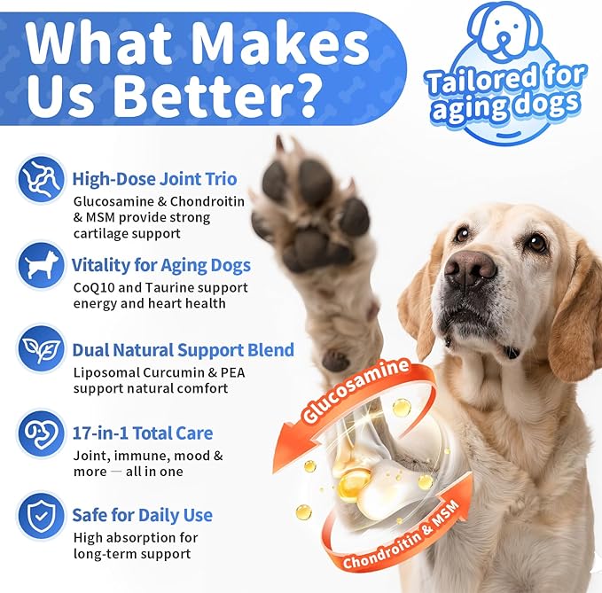 Senior Dog Joint Supplement, 17-in-1 Glucosamine for Dogs with Chondroitin, MSM, Pea, CoQ10, Omega-3, Hip and Joint Chews for Dogs – Beef Flavor – 90 Soft Chews – for All Breeds & Sizes