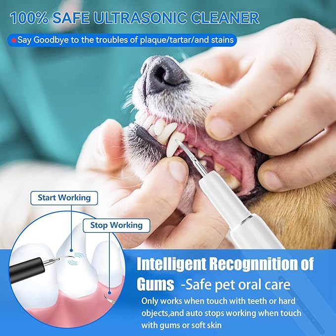 Pet Ultrasonic Plaque Remover,Tooth Cleaning Kit for Tartar and Stains,6 Modes Low Noise Sonic with LED Light,Safe for Dogs and Cat(White)