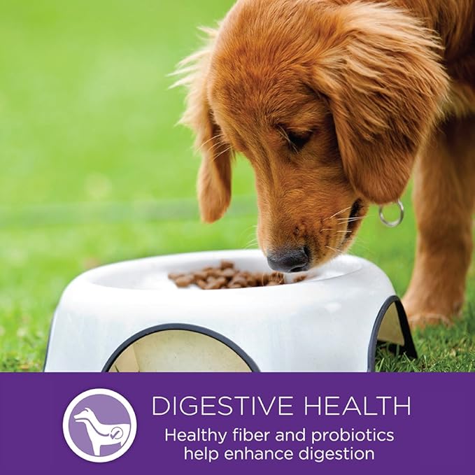 Wellness Complete Health Senior Dry Dog Food, Small Breed, Wholesome Grains, Natural, Age Advantage Turkey & Peas Recipe, (4-Pound Bag)