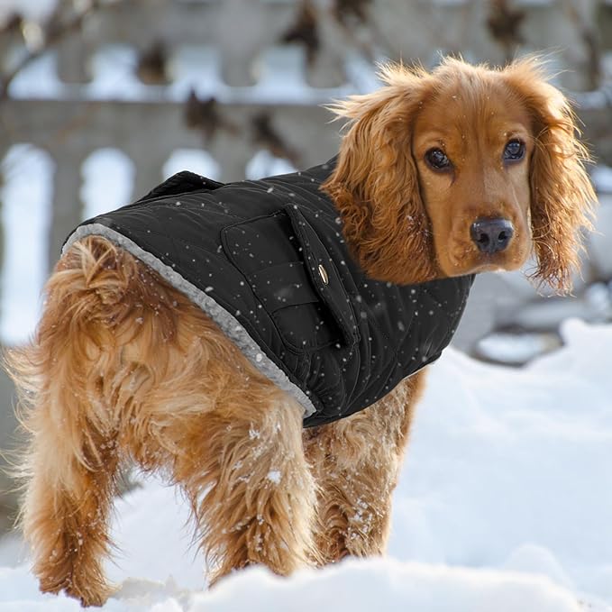 Queenmore Dog Winter Coat Warm Puffer Jacket Waterproof Plush Lining Thermal Cold Weather Vest for Small Medium Large Dogs, Windproof Easy On Pet Jacket Black M