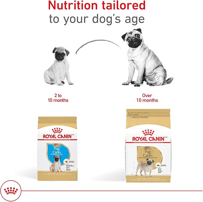 Royal Canin Breed Health Nutrition Pug Puppy Dry Dog Food, 2.5 lb Bag