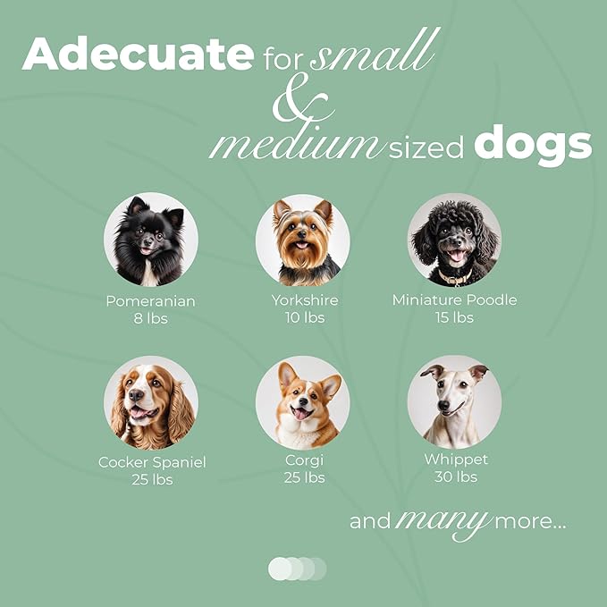 Alfred & Beebee Eco-Friendly Natural Coffee Wood Dog Chew Toy 4 Pack - for Regular Chewers - Dog Dental Chew - Small Medium - Coconut Ball, Rope Stick S - M