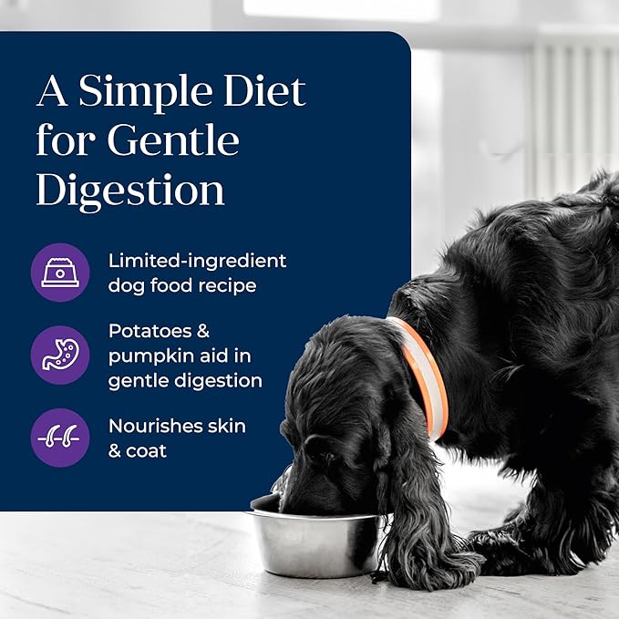 Blue Buffalo Basics Grain-Free Adult Wet Dog Food, Skin & Stomach Care, Limited Ingredient Diet, Turkey Recipe, 12.5-oz Can, 12 Count