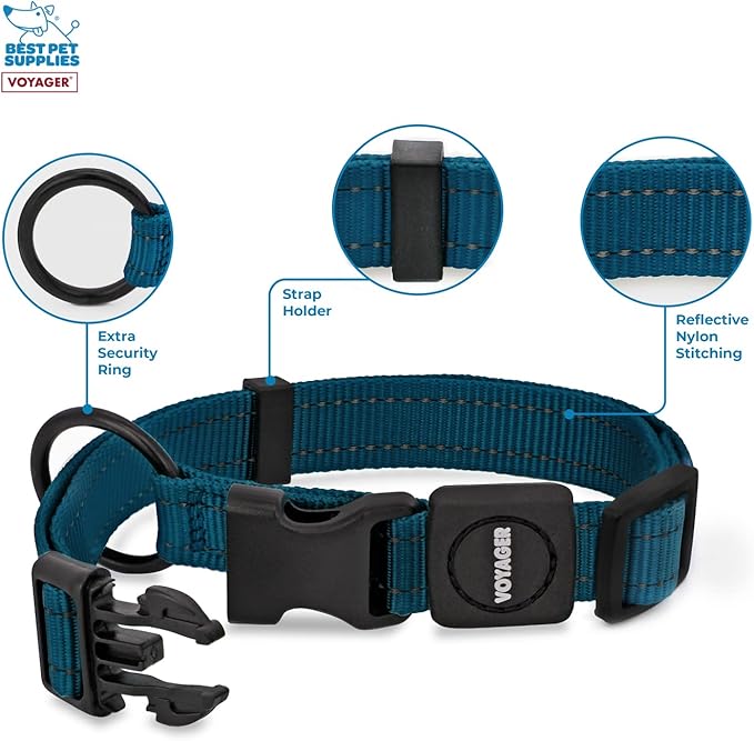 Best Pet Supplies Reflective Dog Collar with Adjustable Length, Heavy-Duty Buckle, and Strong Leash D-Ring, Training, Walking, Jogging Accessory for Small, Medium, and Large Breeds - Blue, S