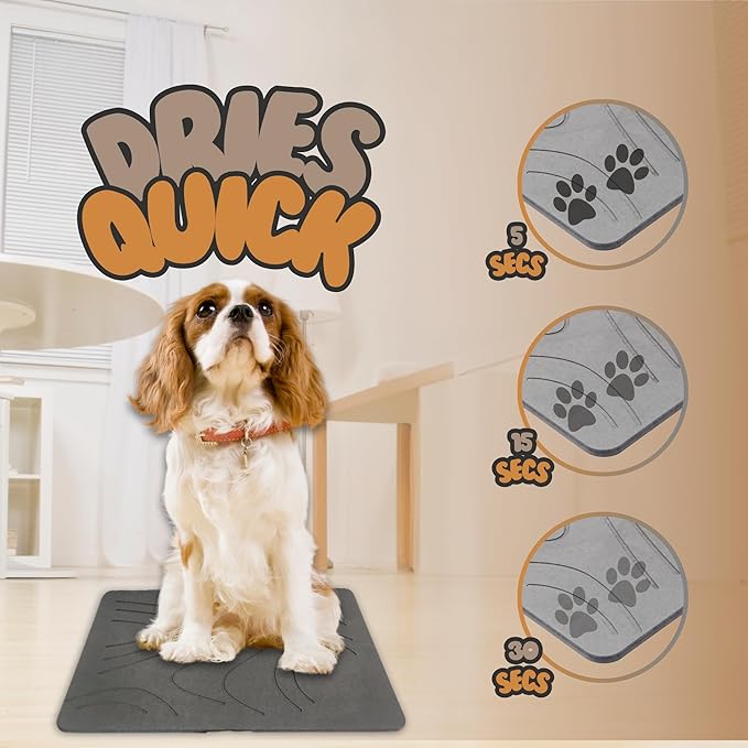 Stone Drying Dog Mat with Diatomaceous Earth – Anti-Slip, Fast Drying, Ideal for Messy Drinkers and Water Spills.