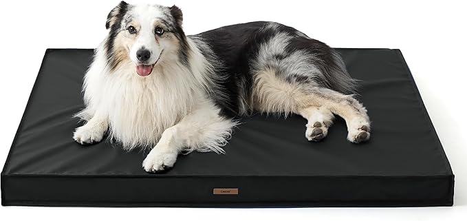 LE SURE Outdoor Waterproof Dog Bed for Large Dogs, Orthopedic Egg Crate Foam Pet Bed with Oxford Fabric Surface and Removable and Durable Cover, Machine Washable, 36''x27'', Black
