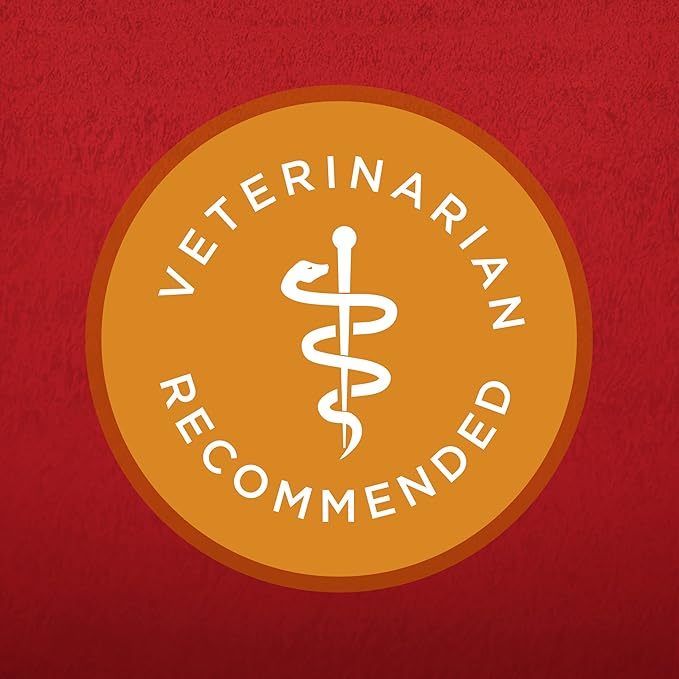 Purina ONE Chicken and Rice Formula Dry Dog Food - 16.5 lb. Bag