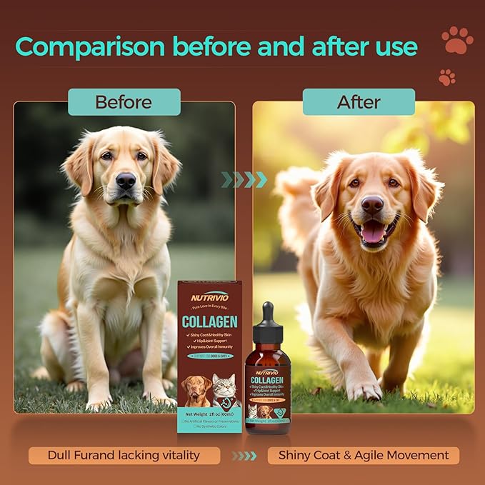 Liquid Collagen for Dogs and Cats-Hip and Joint Support, Itch Relief, Skin and Coat Supplement- Liquid Collagen with Multi-Vitamin for Dog, Immunity Boost- Bacon Flavor,60ml