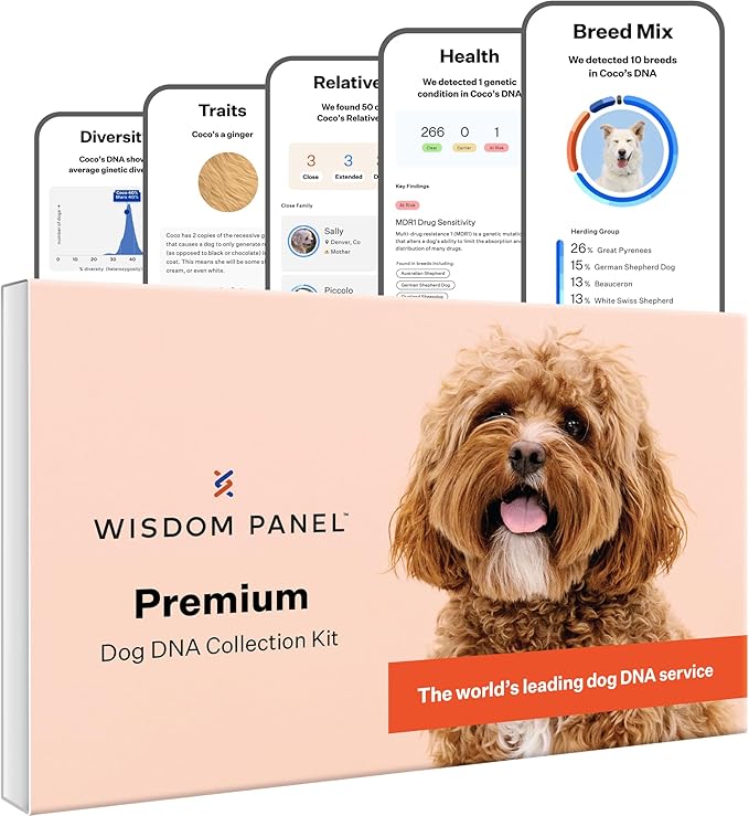 Wisdom Panel Premium Dog DNA Kit: Most Comprehensive with 265+ Health Tests, Identify 365+ Dog Breeds, 50+ Traits, Relatives, Ancestry, Genetic Diversity - Pack of 1