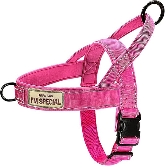 No Pull Dog Harness Pink for Small Medium Large Sized Dog, Reflective Escape Proof Adjustable Dog Harnesses with 2 Patch, S