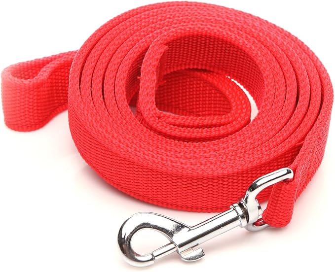Strong Nylon Dog Leash with 2-Layer, 4 FT/ 6 Feet Long, 1 Inch Wide for Medium Large Dogs (1'' x 5 FT, Red)