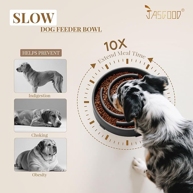 JASGOOD Slow Feeder Bowl for Large Dogs, Anti-Gulping, Prevents Bloat & Choking