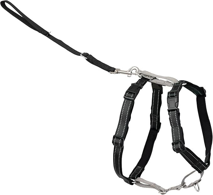PetSafe 3-in-1 Harness - Comfortable Easy-Walk Dog Chest Harness with Front Leash Attachment to Reduce Pulling, Choking & Gagging - Dog Obedience Gear - Large - Black