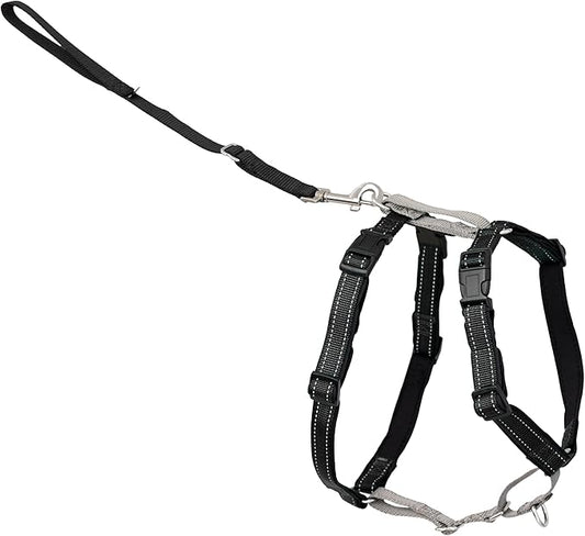 PetSafe 3-in-1 Harness - Comfortable Easy-Walk Dog Chest Harness with Front Leash Attachment to Reduce Pulling, Choking & Gagging - Dog Obedience Gear - Large - Black