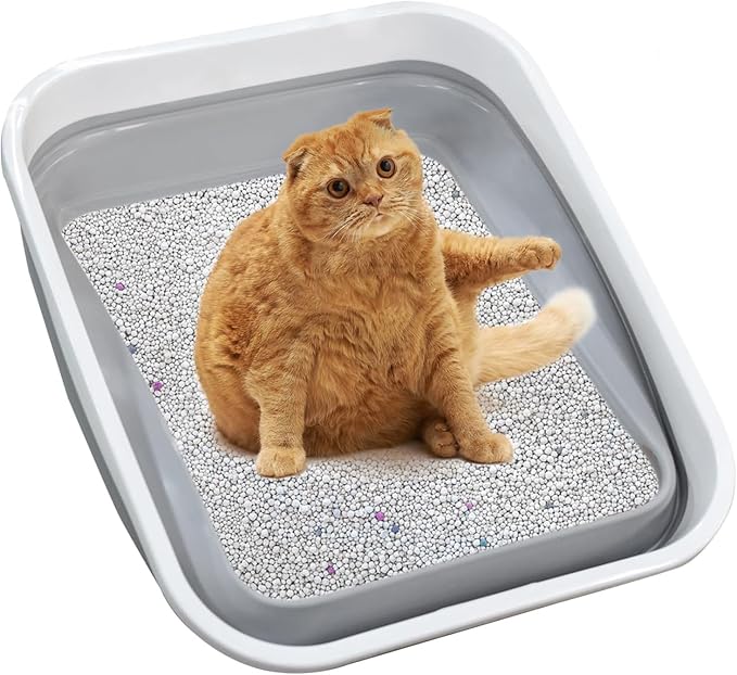 Large Cat Litter Box for Kittens to Senior Cat, Elderly and Fat Cat,Elderly cat Mobility Issues,Foldable Travel Litter Box with Scoop (Grey)