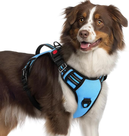 rabbitgoo Dog Harness for Large Dogs, No Pull Pet Harness with Soft Padded Handle, Adjustable Reflective Vest with 3 Buckles, Easy Walking Harness with 2 Leash Clips, Light Blue, XL