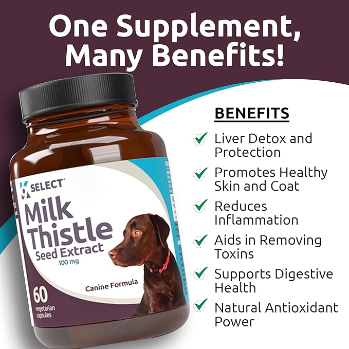 K9 Select Milk Thistle for Dogs, 100mg - 60 Vegetable Capsules - Canine Liver Health Milk Thistle Supplement - Milk Herbal