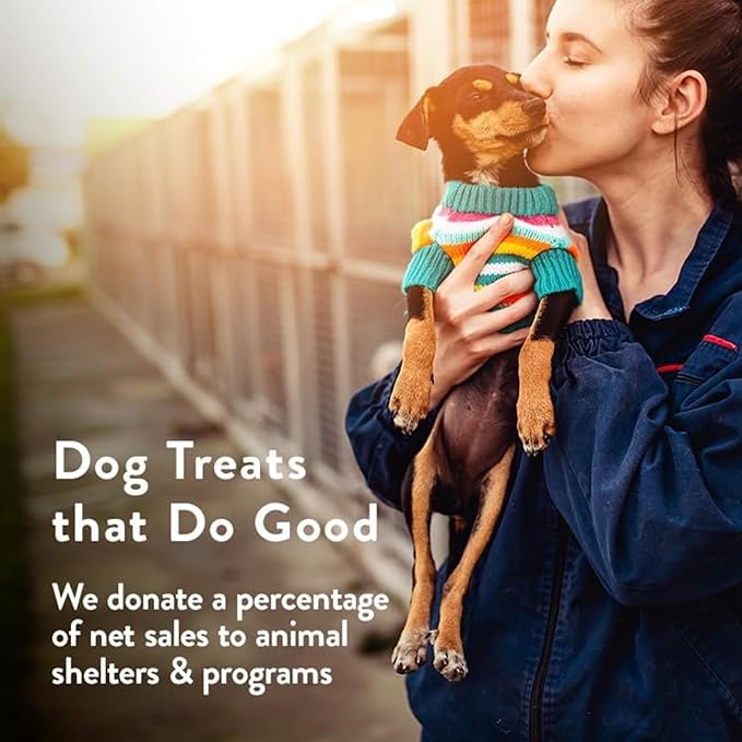 Portland Pet Food Company Gingerbread Dog Treats Healthy Biscuits for Small Medium & Large Dogs - Grain-Free, Human-Grade All Natural Cookies, Snacks & Puppy Training Treats - Made in The USA - 5 oz