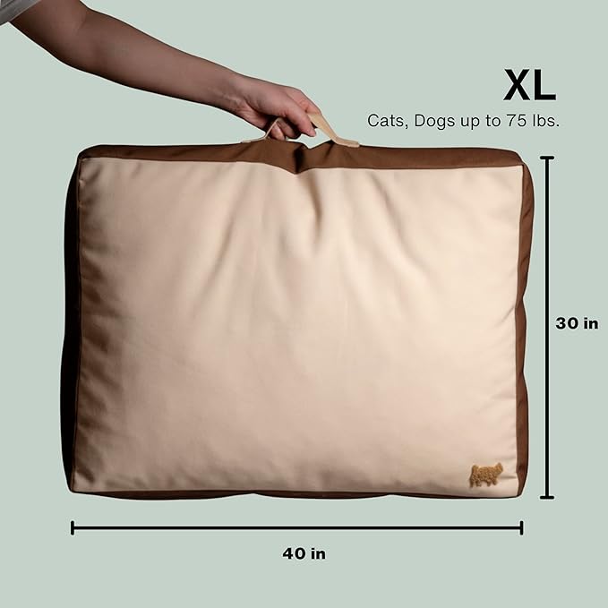 Rawry Orthopedic Dog Bed | Memory Foam Dog Bed with Handle | Water-Resistant, Machine Washable Cover | Floor Cushion for Cats, Dogs & People - Tan/Brown (X-Large - 40" x 30")