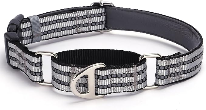 Martingale Collar for Dogs - Reflective Nylon No Slip Choke Heavy Duty Collar with Quick Release Buckle -Safe Fit for Training & Walking Silver M