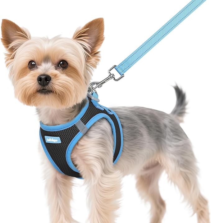 rabbitgoo Dog Harness Small Sized and Leash Set, Step-in Breathable Pet Harness, Soft Walking Reflective Puppy Vest for Small Dogs, Black & Light Blue, XS