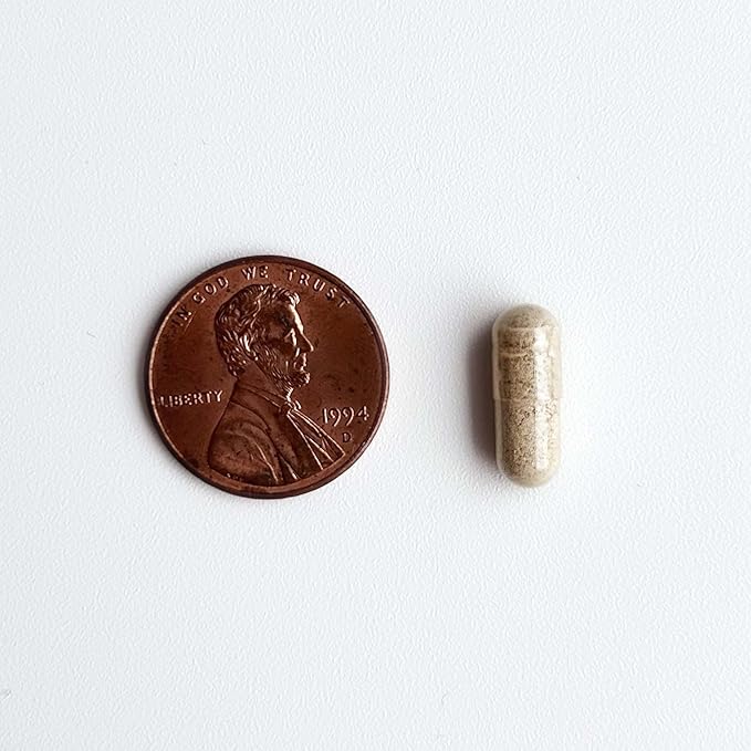 Cat Probiotics - GMP Prebiotics and Probiotics - Reduces Diarrhea Flareups for Cats - KittyBiome