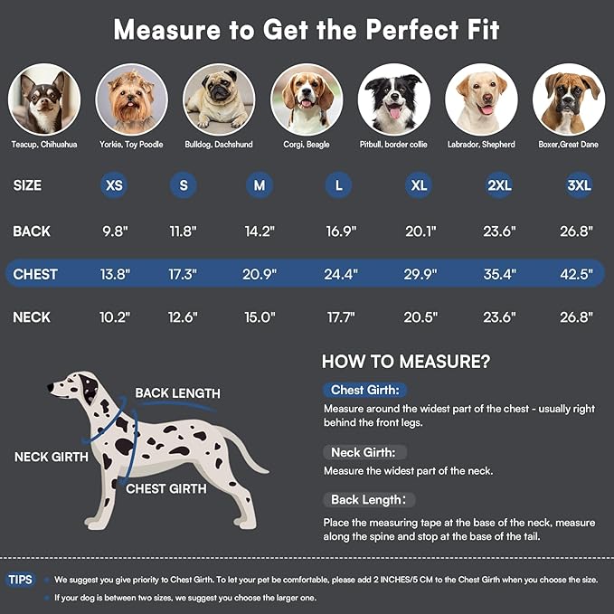 Queenmore Small Dog Coat,Dog Coat for Small Dogs,Reflective Windproof Dogs Jackets with Built-in Harness,Doggy Winter Jacket with Zipper On Back,Warm Pet Coats with Fleece Lining,NavyBlue,S