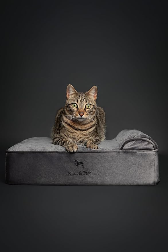 NOAH & PAW Small Dog Bed, 20x15x6.5 Inch, Cat Bed for Indoor Cats, Orthopedic Eggshell Memory Foam Infused with Cooling Gel, Waterproof, Machine Washable, Includes Inner Cover (Velvet Collection)