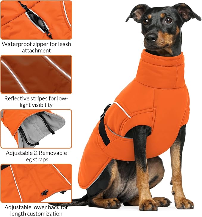 Queenmore Winter Dog Coat Warm Dog Jacket Vest Waterproof Puffer Fleece Snowsuit Adjustable Buckle Leash Hole Reflective Cold Weather Parka for Small Medium Large Dogs Girl Boy Orange XXXL