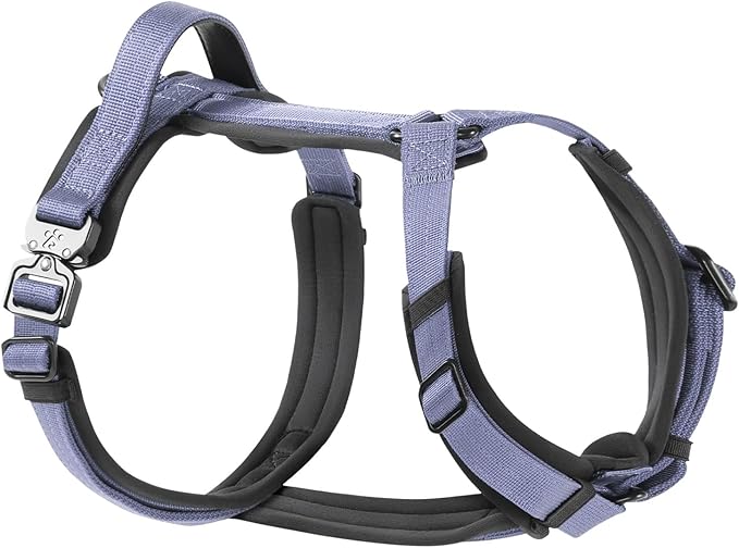 PawsPassion Dog Harness for Medium Dogs, No Pull Dog Harness Easy Walk with Metal Hardware, Ergonomic Y-Shaped Design, Soft Padding, Padded Handle, Durable High-Tensile Nylon (Lilac Breeze, M)