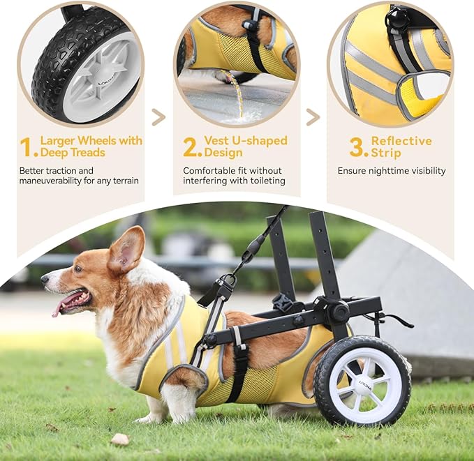 Dog Wheelchair for Back Legs, Newly Wheelchair for Small to Medium Dogs, Adjustable Dog Carts with Wheels for Disabled Hind Leg, All-Terrain Tires Wheels for Dogs Back Legs - L